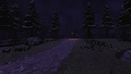 A path in The Woods.
