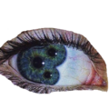Hedge Maze eye asset.