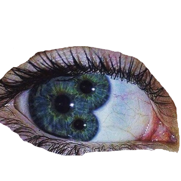 File:7197077306.png