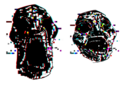 Ditto, but more glitchy