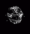 Thumbnail for version as of 01:05, 15 October 2024