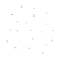 The second A-1000 particle image.