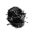 Thumbnail for version as of 00:14, 3 June 2025