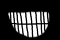 TEETH