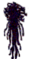 Thumbnail for version as of 21:00, 20 November 2024