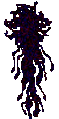Thumbnail for version as of 17:41, 31 December 2024