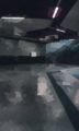 Thumbnail for version as of 02:24, 3 February 2023