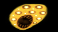 barrage's jumpscare