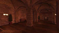 Basement Room. (Bottom Floor)