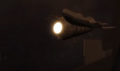A side view of a Gloombat.