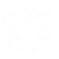 The recreated bite image in what it looks like in studio.