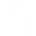 Thumbnail for version as of 21:02, 1 May 2024
