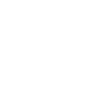 Coinicon.png