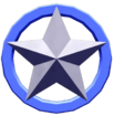 Combatant RAnk or something.png