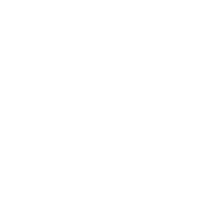 DeathMechanic.png