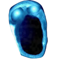 Depth.png