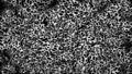 Thumbnail for version as of 22:02, 1 February 2025