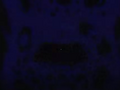 Thumbnail for version as of 15:08, 21 April 2025