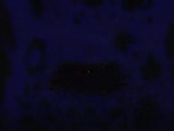 Dread with a blue tint before jumpscaring a player.