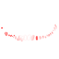 Ditto, but the upper jaw.