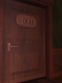 Dupe posing as door -1.