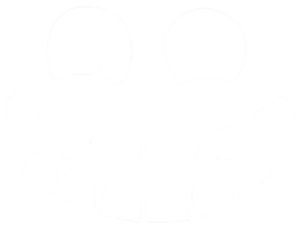 ENTITIES.png