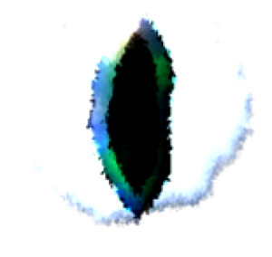Eye5.png
