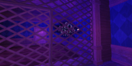 Eyes seen through a gate