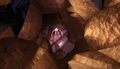 Thumbnail for version as of 11:23, 11 May 2025