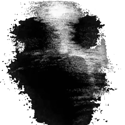 File:GAAAH (1).webp