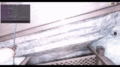 Thumbnail for version as of 19:27, 16 September 2024
