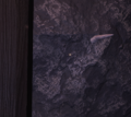 A Giggle stuck inside a rock.