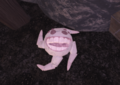Giggle on the ground after the jumpscare.