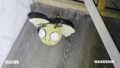 Gloombat's Plush in real life in the Light.