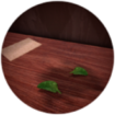 Herb Of Viridis Badge.png
