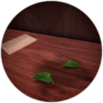 Herb Of Viridis
