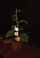 A Candle spawning in the same position as the Green Herb, making the candle impossible to grab.