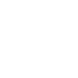 Hideicon.png