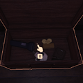 A chest containing a Flashlight, a Skeleton Key, a Lighter and some gold.