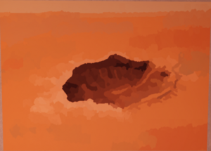 Imperfection painting DOORS.png