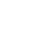 The icon for the player.