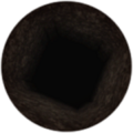 Thumbnail for version as of 22:54, 10 August 2022