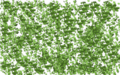 The default Custom Entity fog.