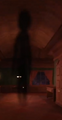 A full image of Shadow.