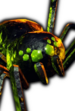Timothy Icon3.png