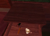 Timothy inside of a drawer.