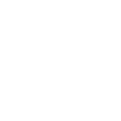 Items
