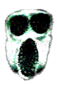 Thumbnail for version as of 00:34, 13 August 2022