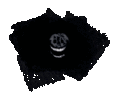 Thumbnail for version as of 13:14, 22 September 2022