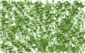 Thumbnail for version as of 08:26, 29 September 2022